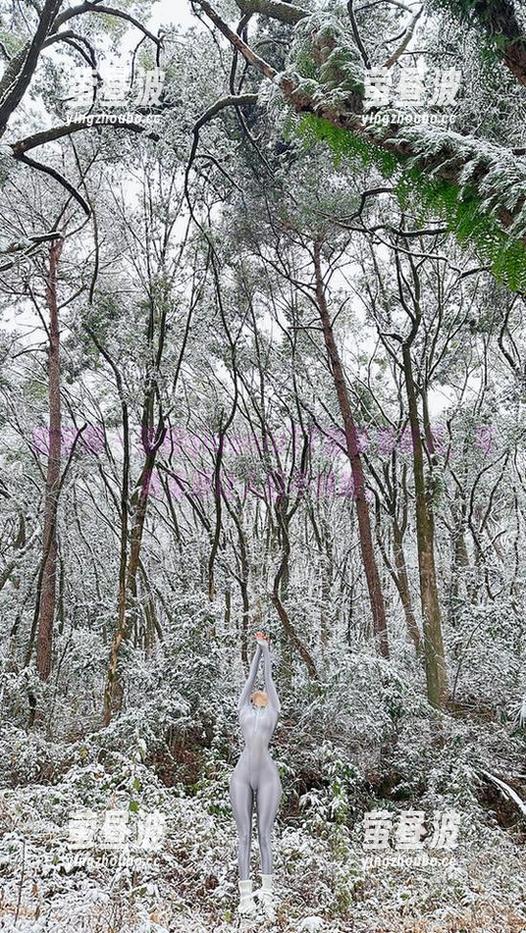 俏妞qiaoniuTT 微密圈 - 俏妞qiaoniuTT的挚爱献礼,写真资源让人目不转睛。