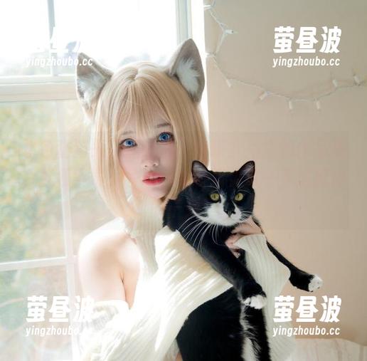 水色猫猫头，狐洛洛子峥嵘岁月里的作品集，赶紧下载，争取在晚餐前见识一下这影像的干劲！