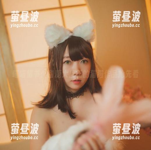喵喵情书：甜糖大魔王的猫猫作品抢先看