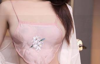 秀人网 – Luffy菲菲的泳衣作品，怎么看都觉得不够，下一套呢？